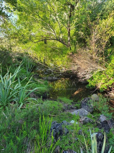 Imagen 2 de 19 de Campo 7 Has Con 1333 M2 Cerca De Aigua