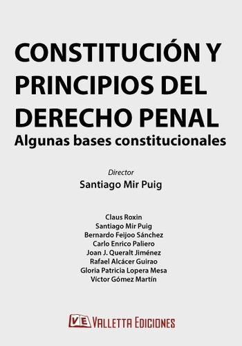 Constitucion Y Principios De Derecho Penal, De Mir Puig. Editorial Valletta Ediciones En Español