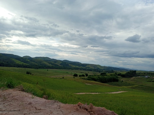 Imagem 21 de 30 de G02 Nosso Terreno Com Ótima Vista