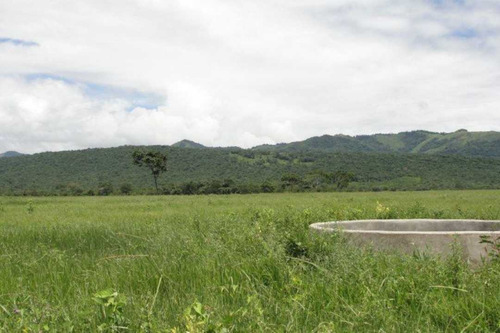 Imagen 19 de 25 de Finca De 400 Has En Sabana Grande De Orituco