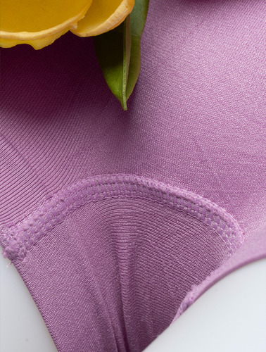 12 Pack Panty Boxer Dama Microfibra Suave Ajustado Colores