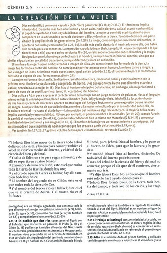 Biblia De Estudio Para La Mujer Imitación Piel
