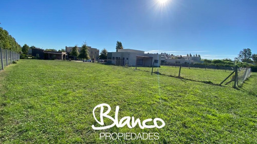 Imagen 3 de 11 de Oportunidad! Gran Lote De 785 Metros En Pilar Del Este - Santa Guadalupe