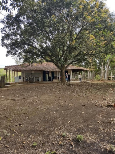 Imagem 4 de 30 de Chácara Para Venda - Figueira Grande, Santa Branca - 10000m² - 2579