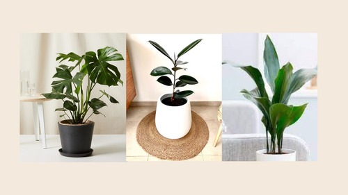 Imagen 7 de 7 de Asesoría Online En Decoración - Decoradora De Interiores