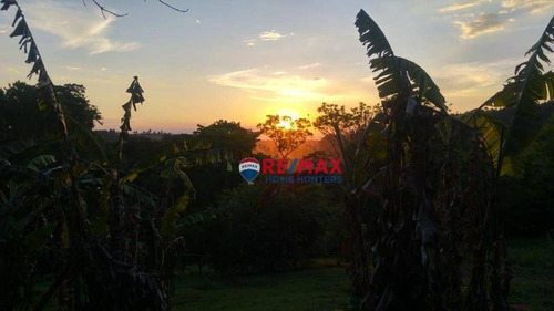 Imagem 5 de 22 de Chácara À Venda, 23500 M² Por R$ 1.845.000,00 - Sousas - Campinas/sp - Ch0091