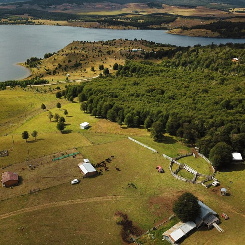 Se Vende Campo De 60 Hectáreas En El Sector Lago Pollux