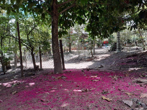 Chácara Com 3 Quartos, 2000 M² Por R$ 250.000 - Ipiiba - São Gonçalo/rj - Ch0005