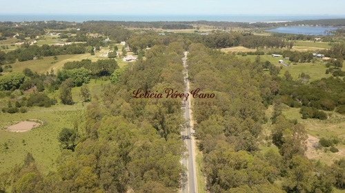 Imagen 4 de 21 de Chacra En Venta En Manantiales Ruta 104, 30 Has