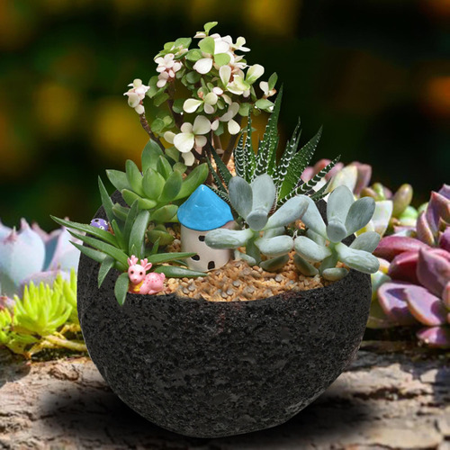 De La Planta Decorativa De La Resina Abstracta Creativa Para