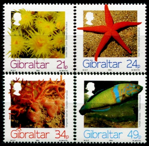 Fauna - Estrellas De Mar - Gibraltar - Serie Mint