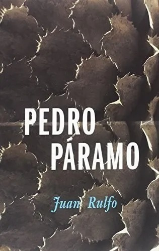 Libro, Pedro Paramo De Juan Rulfo
