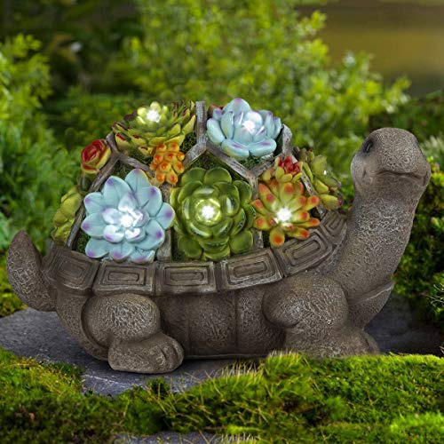 Gigalumi - Figuras De Jardín De Tortugas Para Decoración Al 