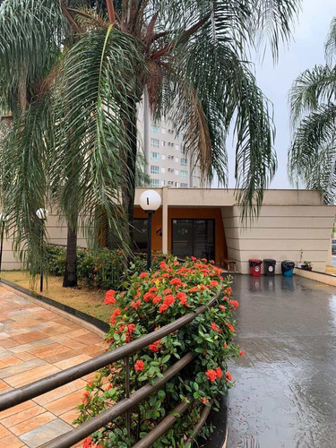 Imagem 2 de 17 de Apartamento Com 1 Dorm, Nova Aliança, Ribeirão Preto - R$ 202 Mil, Cod: 1722615 - V1722615