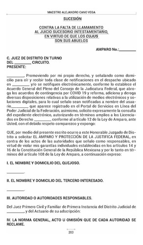 Formularios De Amparo Indirecto En Materia Familiar. Pfa3