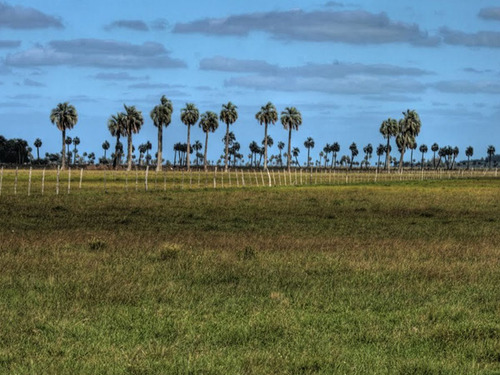 Campo En Venta En Rocha Ref. 4535 (ref: Cbr-1132)