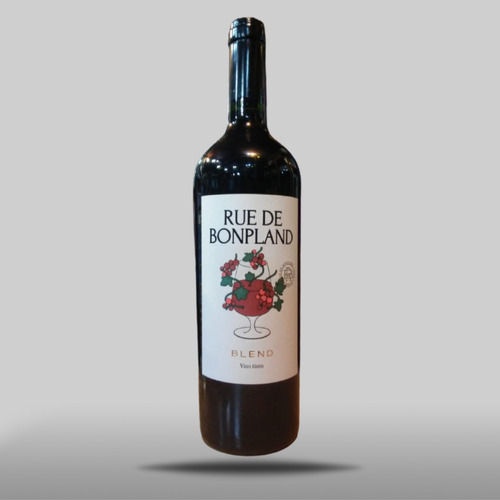 Botella De Vino Tinto Blend Rue De Bonpland Cuadro Benegas