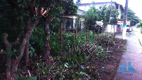 Imagem 8 de 9 de Terreno Plano Com Escritura Na Estrada De Mazomba Em Itaguaí/rj - 313 - 34596787