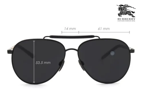 Burberry be3097 hotsell