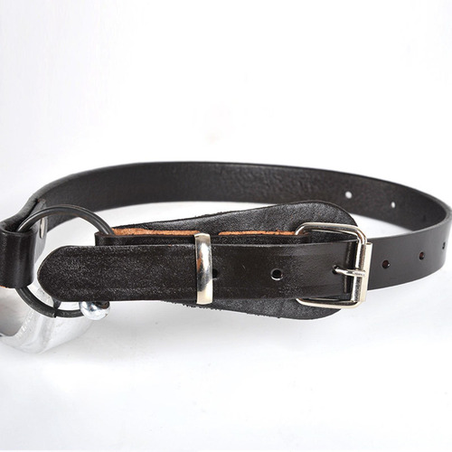 Picos De Árboles Para Escalar Picos De Escalada Equipo Portá