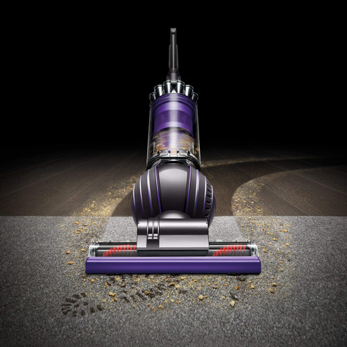 Aspiradora Vertical Dyson Ball Animal 2, Plancha, Color Mora