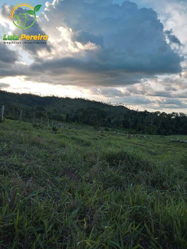 Imagem 2 de 15 de Fazenda À Venda Em Colniza -mt - 629,2 Hectares (dupla Aptidão) - 2108