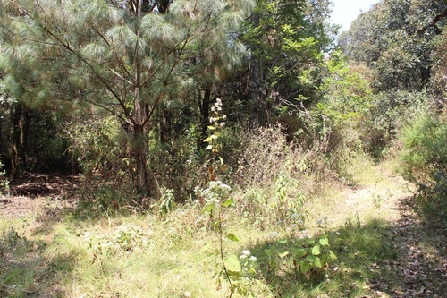 Terreno En Paraje Tetecuintla
