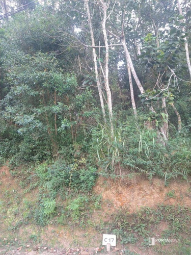 Terreno À Venda, 960 M² Por R$ 265.000,00 - Jardim Dos Ypês - Embu Das Artes/sp - Te0275