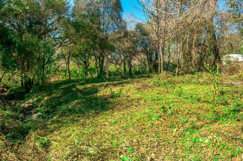Imagen 11 de 12 de Terreno + Venta + Castellanos + 1.693 M2