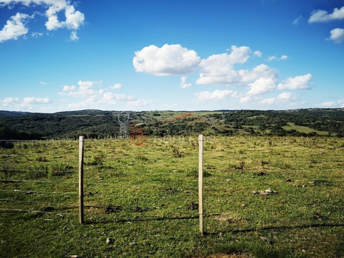 Campo Ganadero En Venta En Maldonado, A 60 Km De Punta Del Este- Ref: 26296
