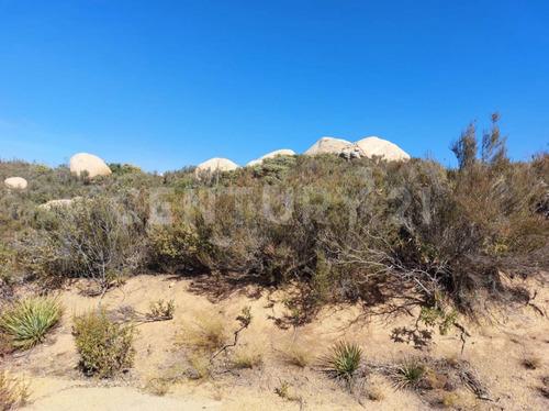 Terreno En Tecate Subdividido En 3 Lotes. Magnifica Ubicación.