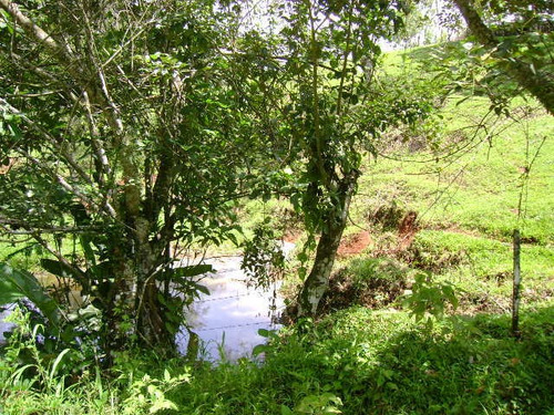 Imagen 2 de 14 de Venta De Hermosa Finca