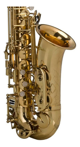 Sax Alto Shelter Laqueado Dourado Sgft6430l