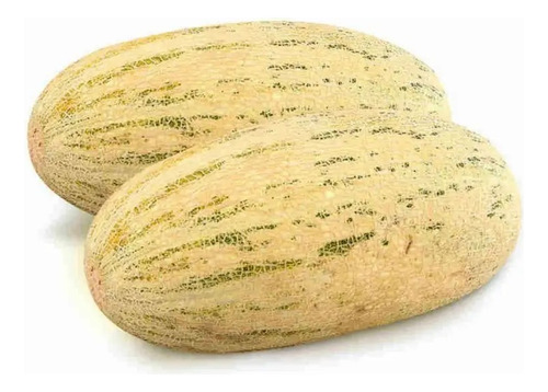 100 Semillas De Melón Mirzachul