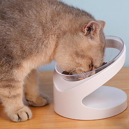 Cuenco Inclinado De Pie Alto Para Perros Y Gatos