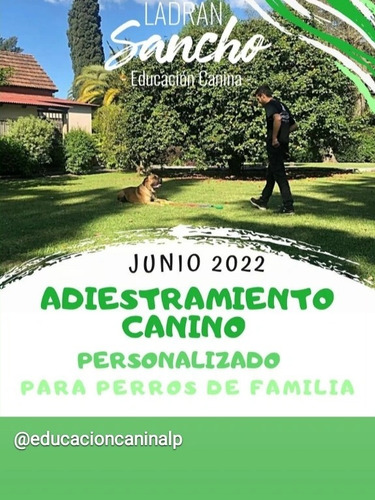 Imagen 2 de 5 de Adiestramiento Canino Profesional La Plata