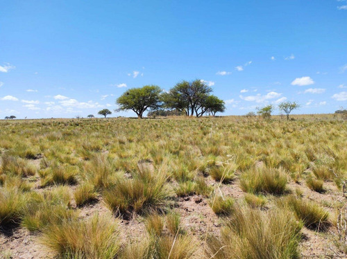 Imagen 8 de 19 de Campo De 95 Has En Ataliva Roca -la Pampa