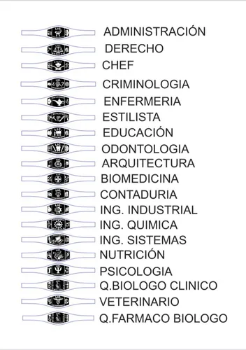 Anillos de graduacion ingenieria en sistemas computacionales cheap
