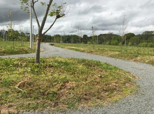 Imagen 7 de 7 de Terreno Ecochacras - Belen De Escobar