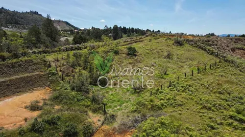 Lote Con Licencia En Guarne