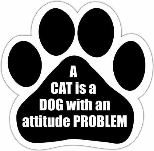  A Cat Is A Dog With An Attitude Problem  Car Magnet With Un
