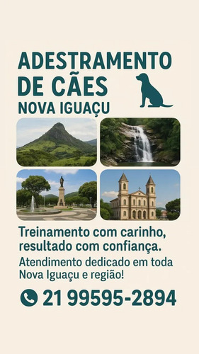 Adestramento E Educação Completa De Filhotes Rj