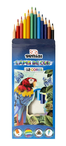 Lápis De Cor 12 Cores-ponta Resistente/seguro Para Crianças