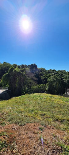 Imagem 10 de 18 de Ótimo Terreno Com 800 M² No Condomínio Village Morro Alto Em Itupeva - Sp - Te00019 - 68495738