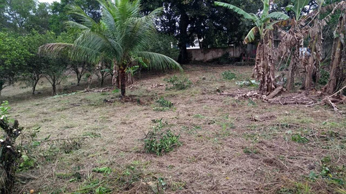 Imagem 10 de 15 de Excelente Negócio! Ótimo Terreno 1191 M² Araruama Rj Centro São Vicente Todo Plano Pronto Para Construir