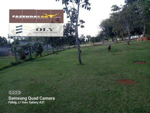 Imagem 11 de 12 de Chácara Próxima Ao Autódromo De Goiânia ! Com Piscina ! 13.336 Metros - 31
