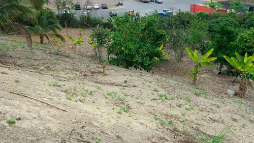 Vendo Terreno De 2346.42 M² En Tuxpan Ver. A Un Costado De Walmart