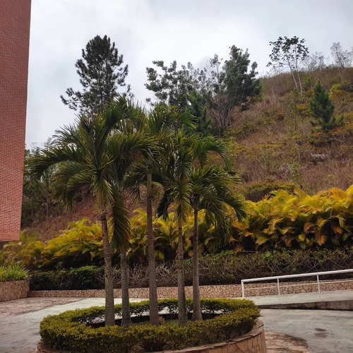 Imagen 22 de 22 de Espectacular Apartamento Remodelado Y Full Equipado Con Espectacular Vista En El Solar Del Hatillo, Municipio El Hatillo, Estado Miranda, Caracas, Venezuela
