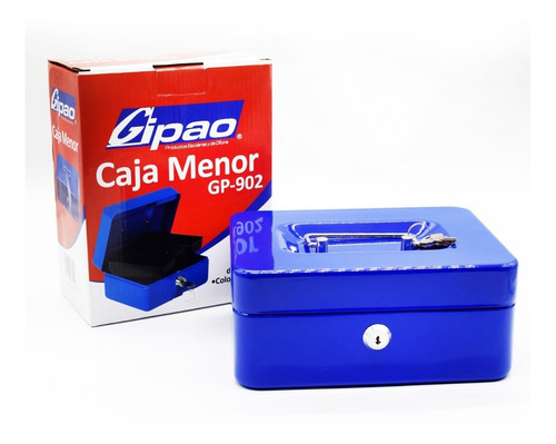Caja Menor Seguridad Gipao Metálica 8 Pulgadas