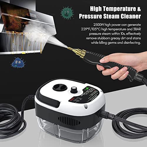 Limpiador De Vapor A Presión De Alta Temperatura 2500 W